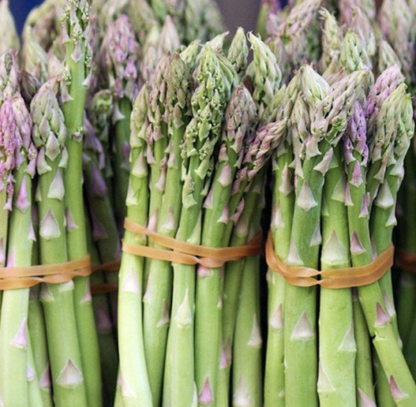 Asparagi